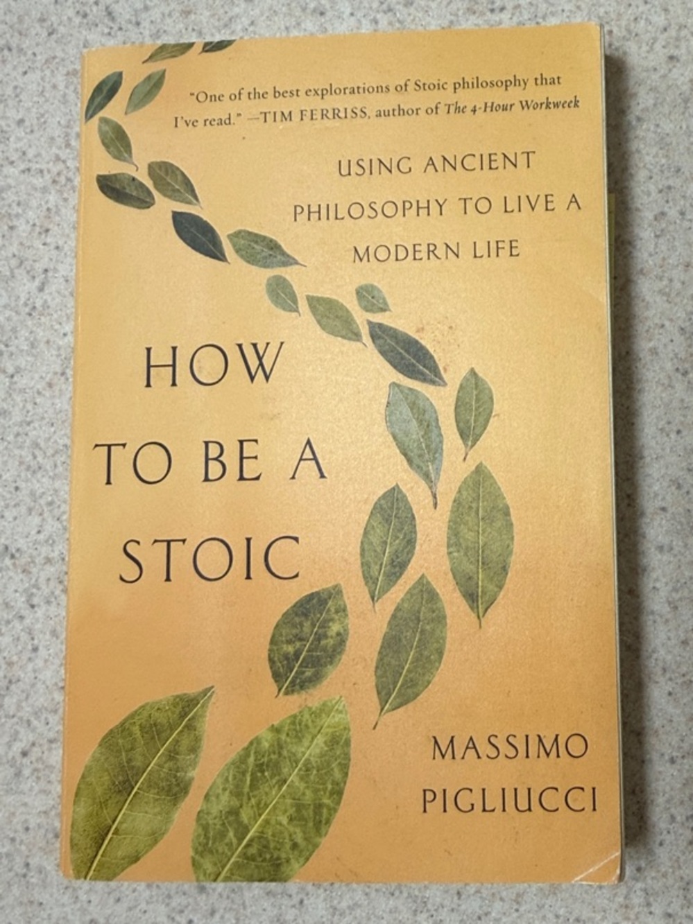 How to Be a Stoic by Massimo Pigliucci